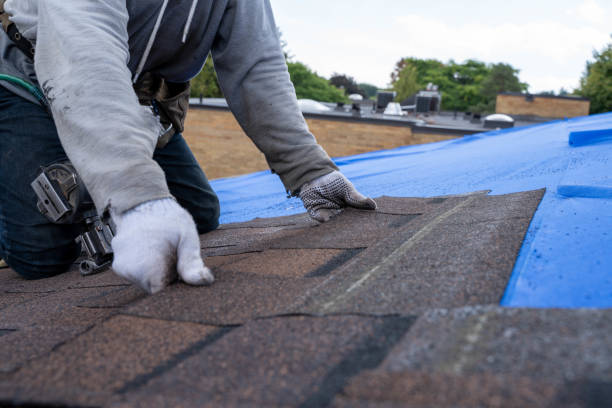 Best Roof Leak Repair  in Moroni, UT